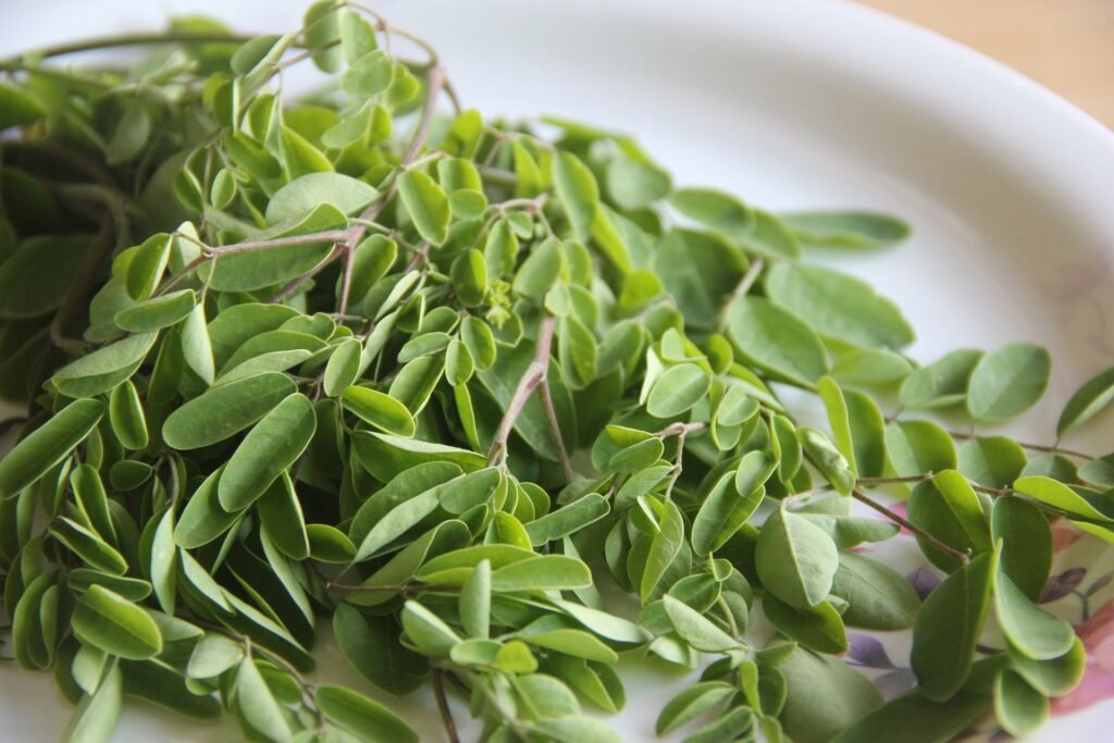 an image  of moringa leaves on a plate